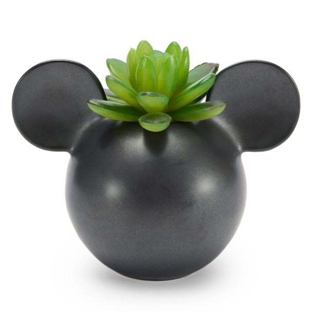 Disney Parks Attractions Succulent Journal