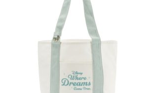 ”Disney Where Dreams Come True” Canvas Mini Tote