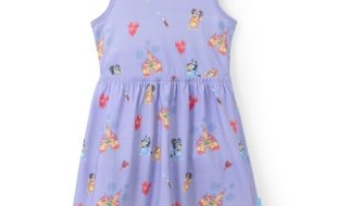 Bluey and Bingo Disney Parks Dress for Girls