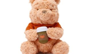Winnie the Pooh ”Fall Vibes” Plush – 10” – Exclusive