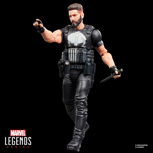 The Punisher Action Figure by Hasbro - Marvel Legends Series - 6''