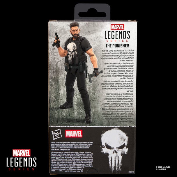 The Punisher Action Figure by Hasbro - Marvel Legends Series - 6''