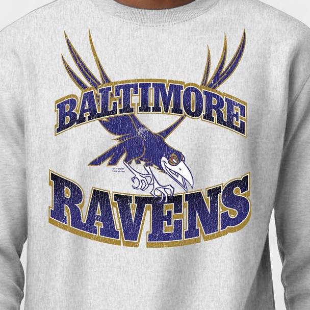 Maleficent's Raven - Baltimore Ravens Pullover Sweatshirt for Adults - Disney Champion NFL