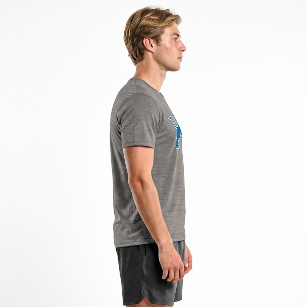 Simba - Detroit Lions T-shirt for Adults - Disney  Champion NFL