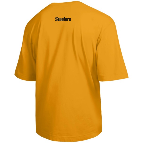 Pete - Pittsburgh Steelers T-Shirt for Adults - Disney Champion NFL
