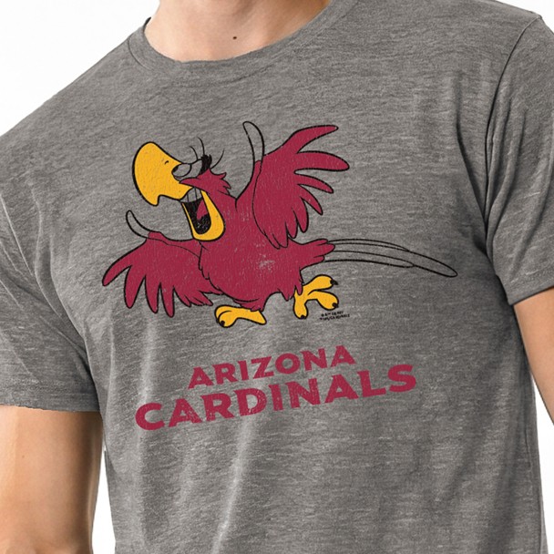 Jafar and Iago - Arizona Cardinals T-shirt for Adults - Disney Champion NFL