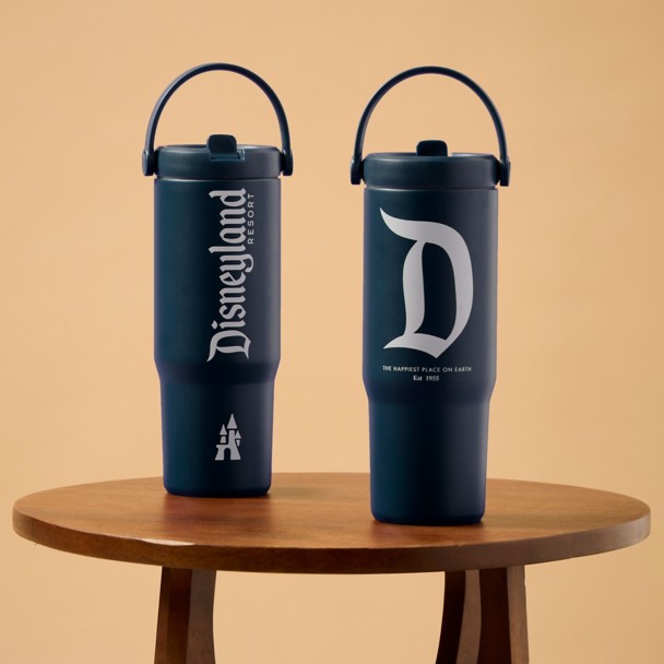 Disneyland 27 oz. Stainless Steel Water Bottle with Built-In Straw - Navy
