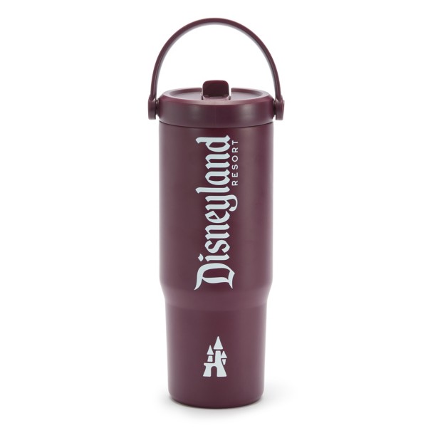 Disneyland 27 oz. Stainless Steel Water Bottle with Built-In Straw - Maroon