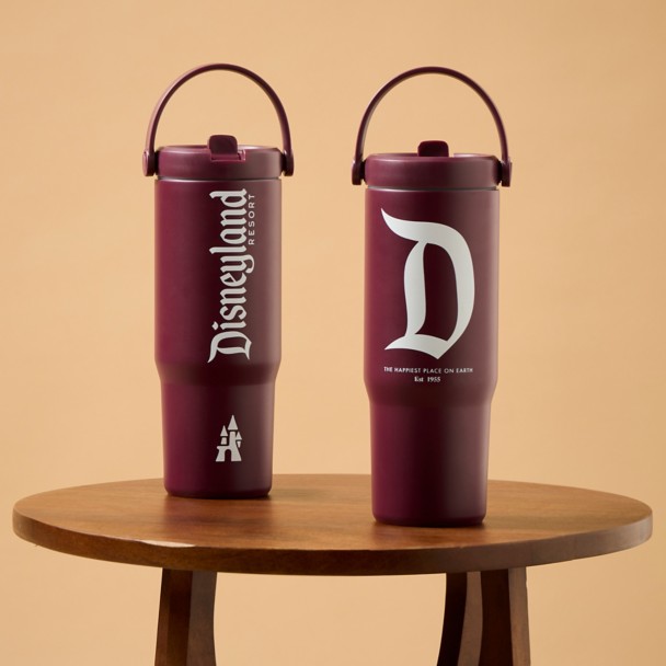Disneyland 27 oz. Stainless Steel Water Bottle with Built-In Straw - Maroon