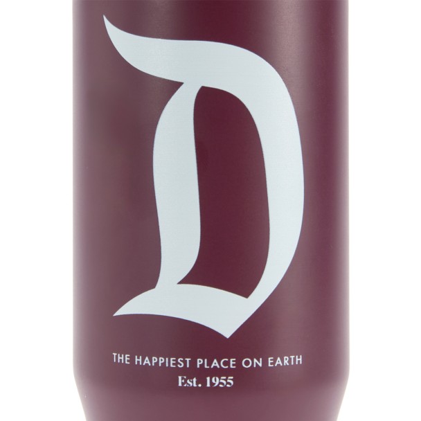 Disneyland 27 oz. Stainless Steel Water Bottle with Built-In Straw - Maroon