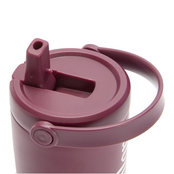 Disneyland 27 oz. Stainless Steel Water Bottle with Built-In Straw - Maroon