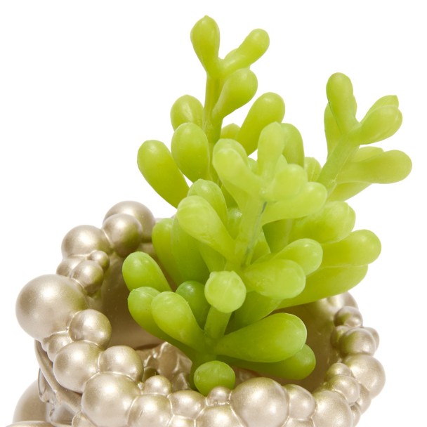 Chip Faux Succulent Holder - Beauty and the Beast