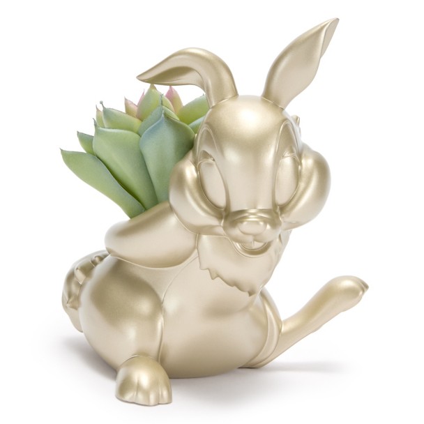 Chip Faux Succulent Holder - Beauty and the Beast